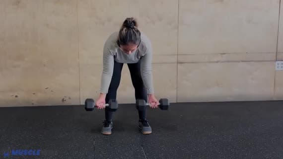 Dumbbell Supinated Row