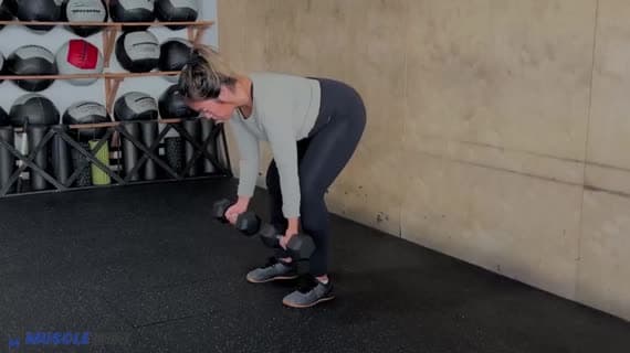 Dumbbell Supinated Row