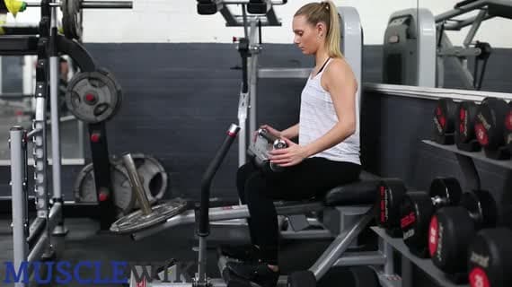 Machine Seated Calf Raises