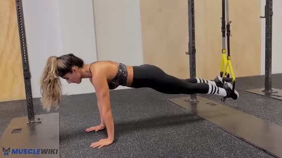 TRX Mountain Climber