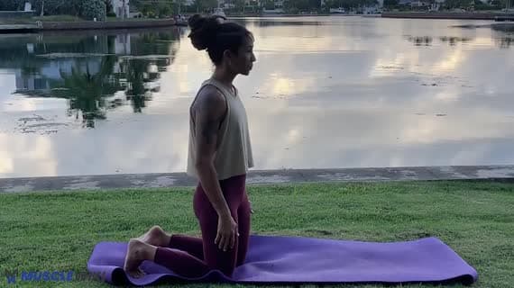 Half Monkey Pose
