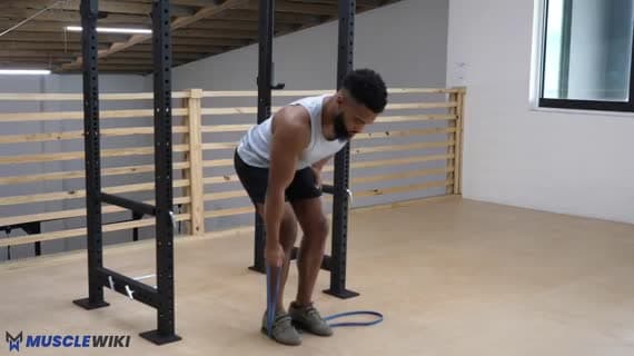 Band Single Arm Bent Over Row Exercise Guide - Lats Workout | MuscleWiki