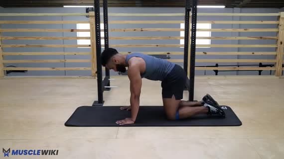 Mini Band Fire Hydrant