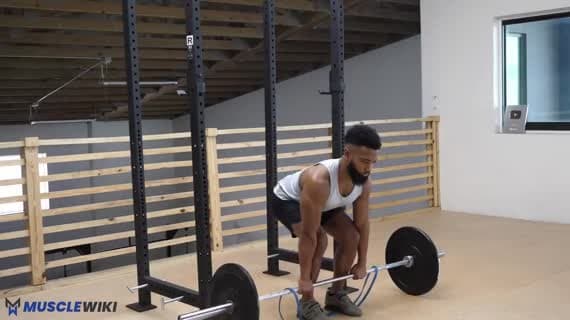 Barbell Banded Deadlift Exercise Guide - Glutes Workout | MuscleWiki