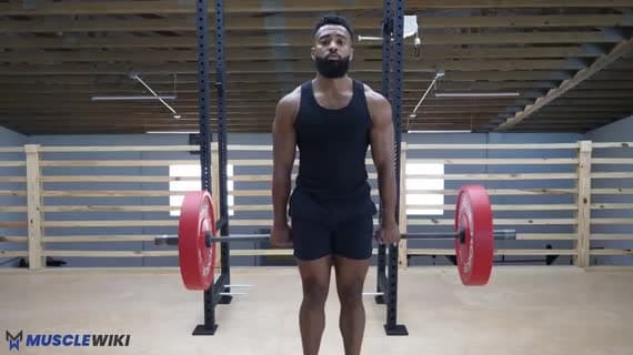 Barbell Behind The Back Shrug