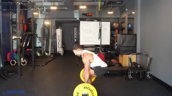 پاکسازی و پرتاب هالتر