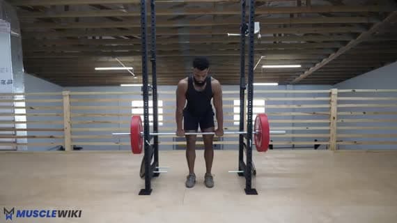 Barbell Rack Pull