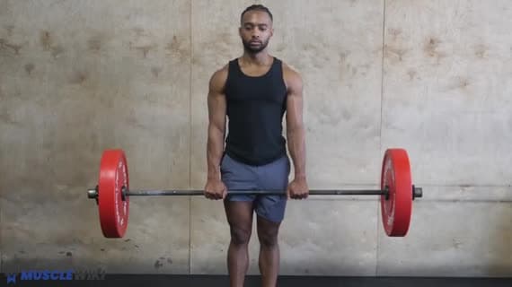 Barbell Reverse Curl