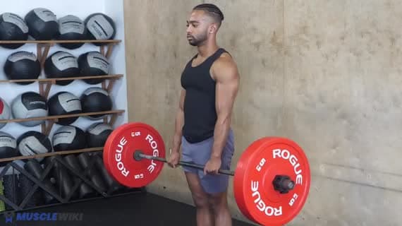 Ejercicios de Barbell Bicep | MuscleWiki