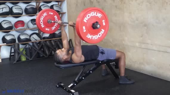 پشت بازو خوابیده با هالتر