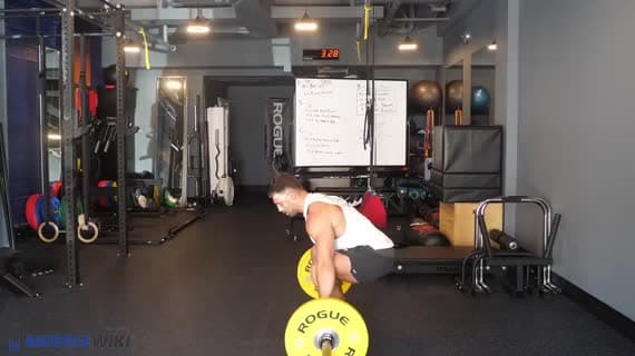 Arraché à la barre