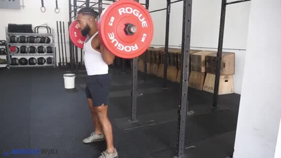 Barbell Squat