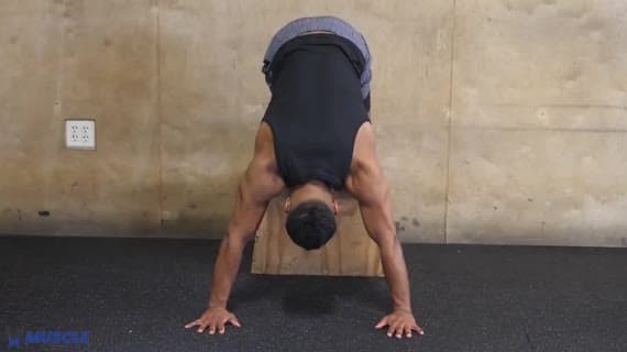 Elevated Pike Press