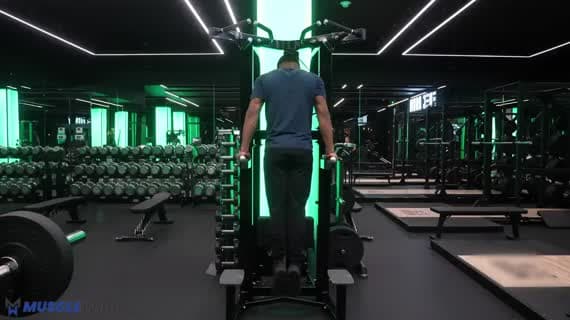 Parallel Bar Dips