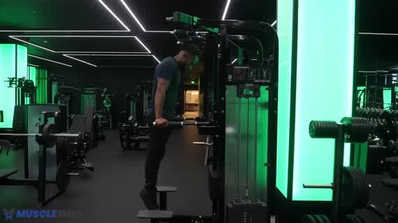 Parallel Bar Dips