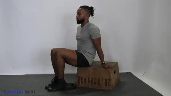 Alzata tibiale da seduto