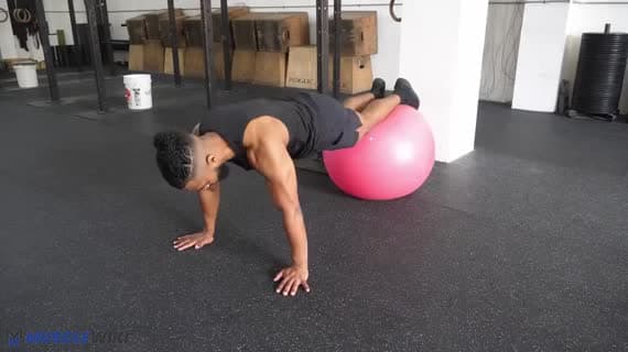 Stability Ball Knee Tuck