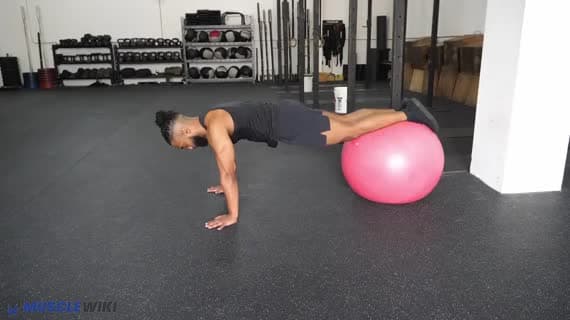 Stability Ball Knee Tuck