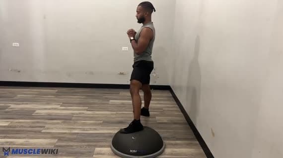 Bosu Ball साइड लंज