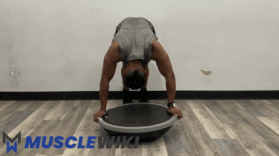 Bosu Ball Encolhimento de Ombros em Pike