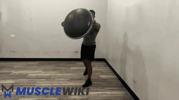 هیزم‌شکن روی Bosu Ball