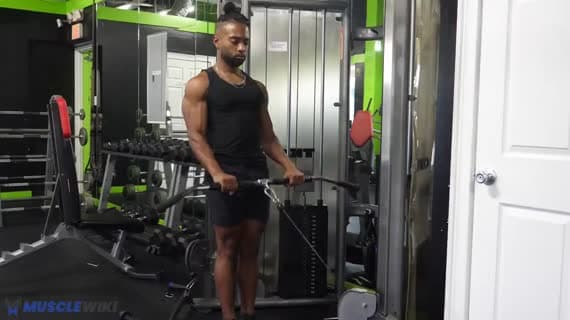 Cable Bar Reverse Grip Curl