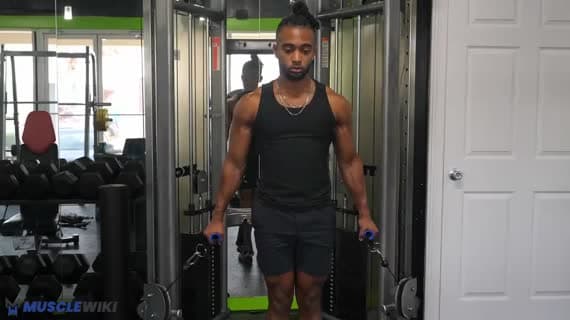 केबल हैमर बेयसियन कर्ल