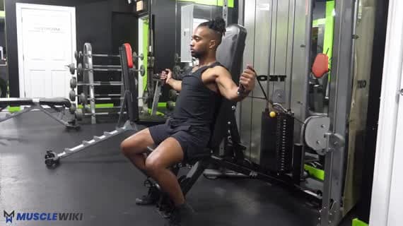 Cable Incline Chest Fly