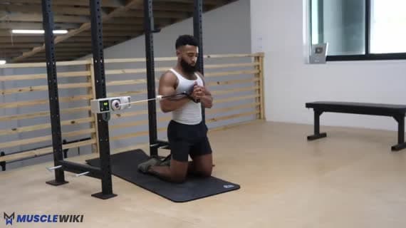 Cable Kneeling Pallof Press