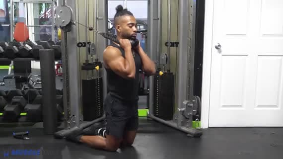 Exercices Cables Abdominal | MuscleWiki