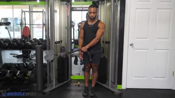 Cable Rope Mid Lateral Raise