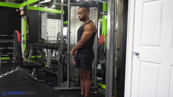 Cable Rope Mid Lateral Raise