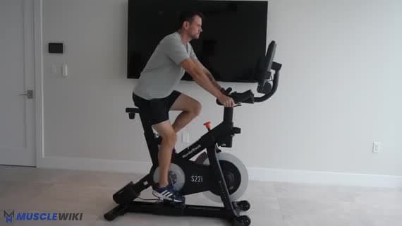 Bicicleta ergométrica