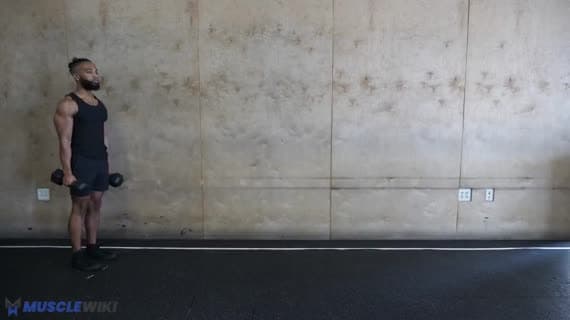 Kurzhantel Farmermarsch