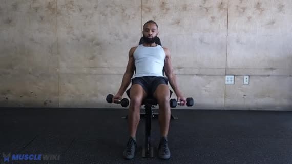 Curl incliné avec haltères