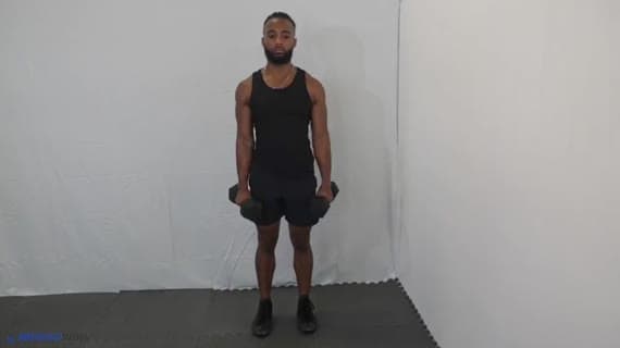 Dumbbell Lateral Raise