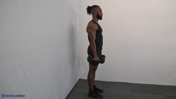 Dumbbell Lateral Raise