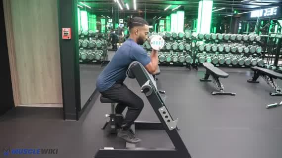 Curl Predicatore con Manubrio