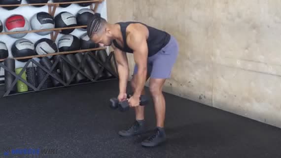 Pájaros Inversos con Mancuernas