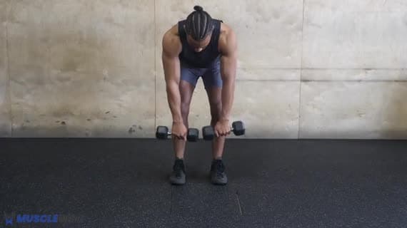 Kurzhantel-Rudern (hintere Deltamuskulatur)