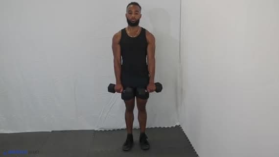 Dumbbell Reverse Curl