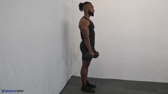 Dumbbell Reverse Curl