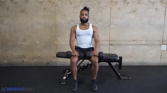 رفع السمانة بالدمبل جالسًا