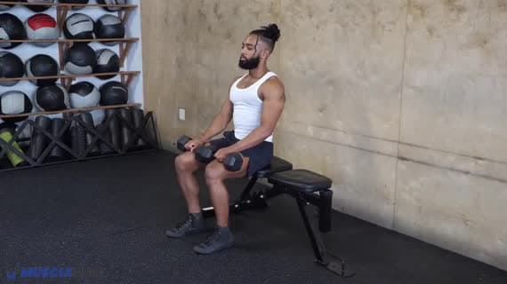 رفع السمانة بالدمبل جالسًا