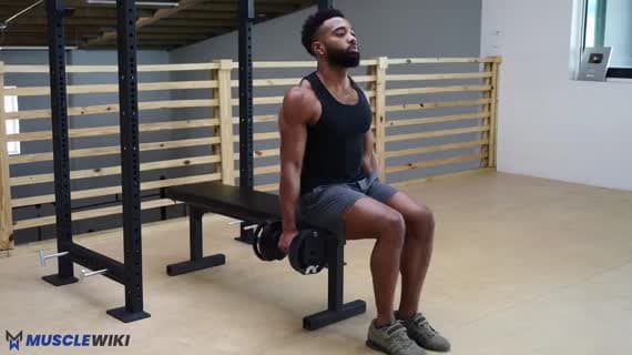 Dumbbell Seated Hammer Curl Exercise Guide - Biceps Workout | MuscleWiki