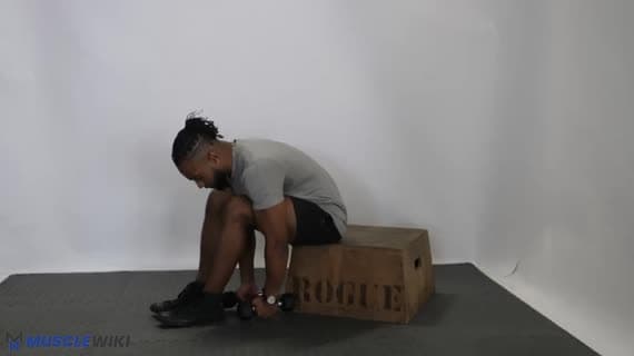 فلای معکوس با دمبل نشسته