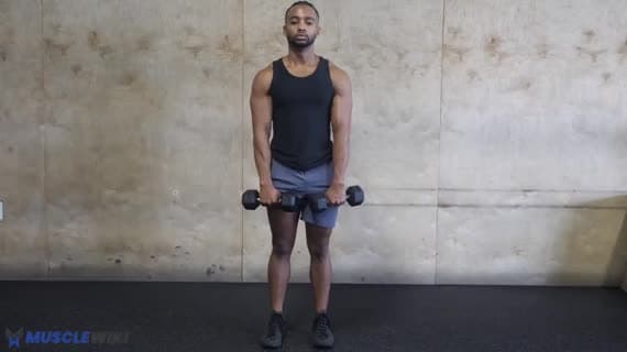 رفعة الكتفين بالدامبل