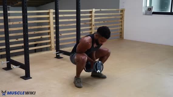 Dumbbell Somersault Squat