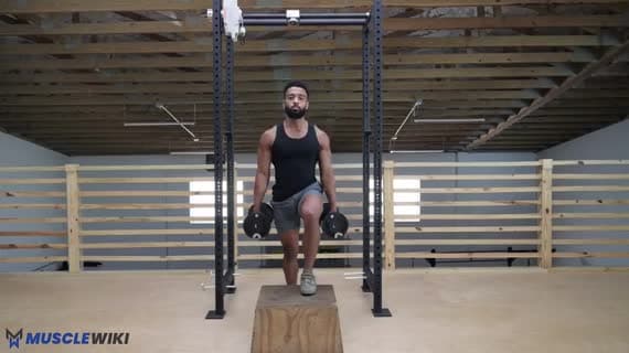 Dumbbell Step Up Knee Drive