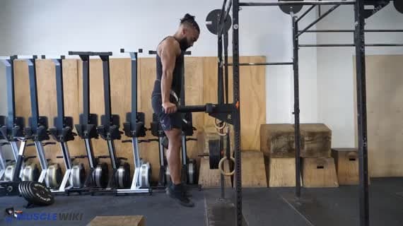 Dumbbell Weighted Dip 运动指南 - Chest 锻炼 | MuscleWiki